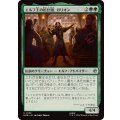 (FOIL)エルフ王の給仕頭、ガリオン/Galion, Elvenking's Butler《日本語》【HOB】