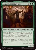 (FOIL)エルフ王の給仕頭、ガリオン/Galion, Elvenking's Butler《日本語》【HOB】