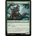 [EX+](FOIL)岩屋の守護者/Guardian of the Halls《日本語》【HOB】