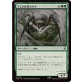 (FOIL)でぶの年寄りクモ/Old Fat Spider《日本語》【HOB】