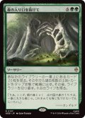(FOIL)森の入り口を抜けて/Through the Forest Gate《日本語》【HOB】