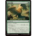(FOIL)魔狼の戦術/Warg Tactics《日本語》【HOB】