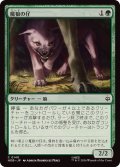 [EX+](FOIL)魔狼の仔/Wargling《日本語》【HOB】