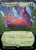 [EX+](FOIL)(フルアート)夜半から明け方まで踊る/Dancing from Dark to Dawn《日本語》【HOB】