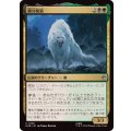 (FOIL)親分魔狼/The Chief Warg《日本語》【HOB】
