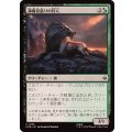 (FOIL)薄暮見張りの狩人/Duskwatch Hunter《日本語》【HOB】
