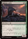 (FOIL)薄暮見張りの狩人/Duskwatch Hunter《日本語》【HOB】