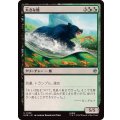 (FOIL)大きな熊/Large Bear《日本語》【HOB】