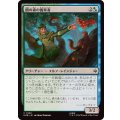 (FOIL)闇の森の養育者/Mirkwood Nurturer《日本語》【HOB】