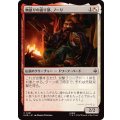 (FOIL)物語りの語り部、ノーリ/Nori, Teller of Tales《日本語》【HOB】