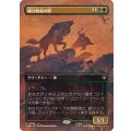 (FOIL)(フルアート)親分魔狼の隊/Chief Warg's Company《日本語》【HOB】