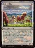 (FOIL)ポニーの群れ/Troop of Ponies《日本語》【HOB】