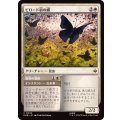 [EX+](FOIL)ビロード羽の蝶/Velvetwing Butterflies《日本語》【HOB】
