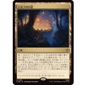(FOIL)エルフの小道/Elven Passage《日本語》【HOB】