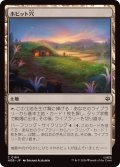 (FOIL)ホビット穴/Hobbit Hole《日本語》【HOB】
