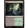 (FOIL)闇の森/Mirkwood《日本語》【HOB】