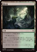 (FOIL)闇の森/Mirkwood《日本語》【HOB】