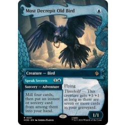 画像1: (フルアート)この上なくよぼよぼな年より鳥/Most Decrepit Old Bird《英語》【HOB】
