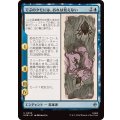 (FOIL)でぶのクモには、おれは見えない/Old Fat Spider Can't See Me《日本語》【HOB】