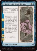 (FOIL)でぶのクモには、おれは見えない/Old Fat Spider Can't See Me《日本語》【HOB】