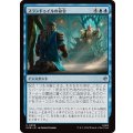 (FOIL)スランドゥイルの命令/Thranduil's Decree《日本語》【HOB】
