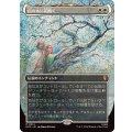 (FOIL)(フルアート)白の木に花開く/Flowering of the White Tree《日本語》【HOC】