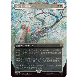 画像1: [EX+](FOIL)(フルアート)白の木に花開く/Flowering of the White Tree《日本語》【HOC】