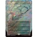 [EX](サージFOIL)白の木に花開く/Flowering of the White Tree《日本語》【HOC】
