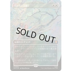 画像1: [EX+](サージFOIL)白の木に花開く/Flowering of the White Tree《日本語》【HOC】
