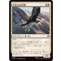 (FOIL)大岩だなの大鷲/Eagle of the Great Shelf《日本語》【HOB】