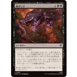 画像1: (FOIL)歯ぎしり/Gnashing of Teeth《日本語》【HOB】