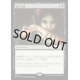 極上の血/Exquisite Blood《日本語》【LCC】