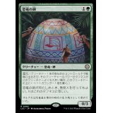 [EX+]恐竜の卵/Dinosaur Egg《日本語》【LCC】