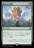 枝分かれの進化/Branching Evolution《日本語》【LCC】