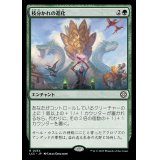 枝分かれの進化/Branching Evolution《日本語》【LCC】