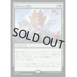 [EX+]枝分かれの進化/Branching Evolution《日本語》【LCC】