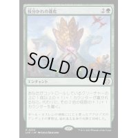 [EX+]枝分かれの進化/Branching Evolution《日本語》【LCC】