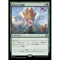画像1: 枝分かれの進化/Branching Evolution《日本語》【LCC】