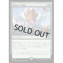 画像1: [EX+]枝分かれの進化/Branching Evolution《日本語》【LCC】