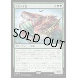[EX+]災厄の末裔/Scion of Calamity《日本語》【LCC】