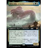 (フルアート)微笑む水害、ゾラトヤク/Xolatoyac, the Smiling Flood《日本語》【LCC】