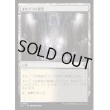 [EX+]オルゾフの聖堂/Orzhov Basilica《日本語》【LCC】