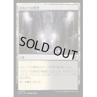 [EX+]オルゾフの聖堂/Orzhov Basilica《日本語》【LCC】