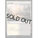 [EX+]汚れた原野/Tainted Field《日本語》【LCC】