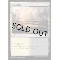 汚れた原野/Tainted Field《日本語》【LCC】