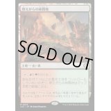 [EX+]燃えがらの林間地/Cinder Glade《日本語》【LCC】