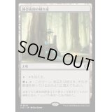 [EX+]錬金術師の隠れ家/Alchemist's Refuge《日本語》【LCC】