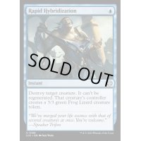[EX+]急速混成/Rapid Hybridization《英語》【LCC】