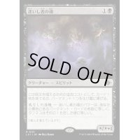 [EX+]迷いし者の魂/Souls of the Lost《日本語》【LCI】
