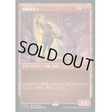(FOIL)(0407)地質鑑定士/Geological Appraiser《日本語》【LCI】